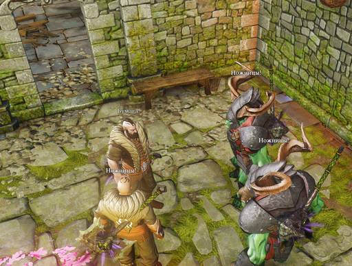 Divinity: Original Sin - Divinity:Original Sin: Маги и спутники.